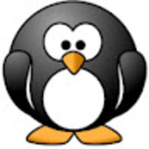 Meet your Posher, Drew